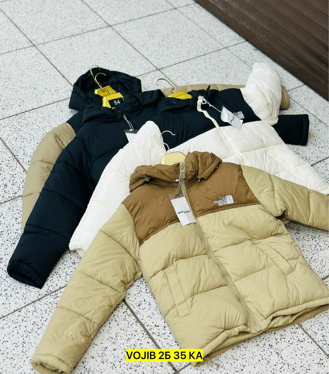 пуховик the north face 700,куртка пуховик the north face,пуховик the north face,зимняя куртка the north face,мужские пуховики the north face