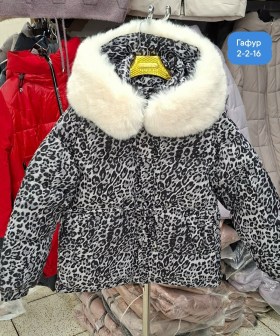 Верхняя одежда