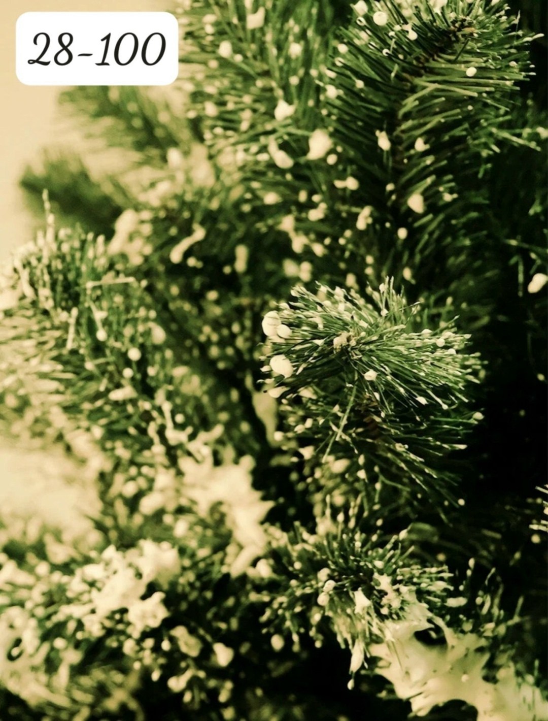 снег на елке,снег зима,елка зимняя,баночка,елка снежная