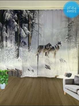 Одежда