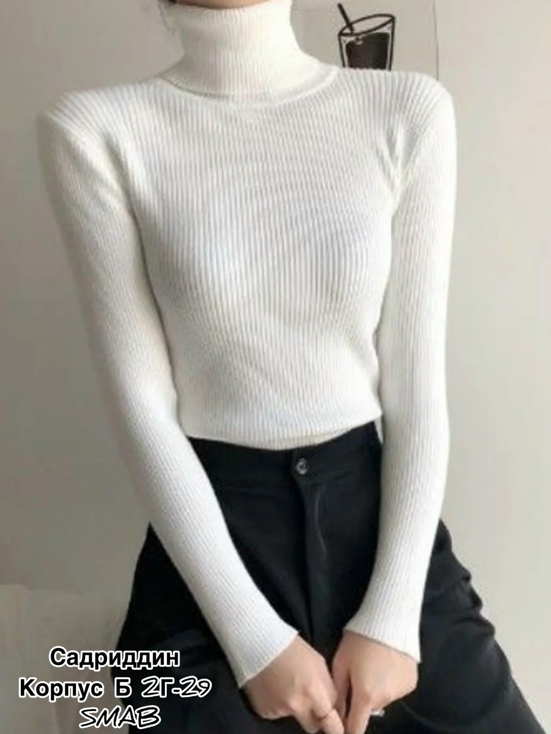 женская водолазка лапша,водолазка женская,водолазка лапша женская с коротким рукавом,водолазка,водолазка женская бежевая