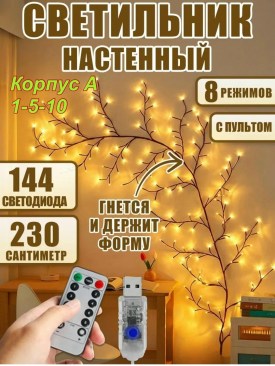 Одежда