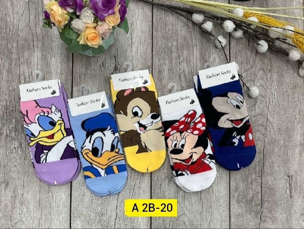 носки женские 10 пар,носки женские,носки женские 12 пар,комплект носки женские,носки набор