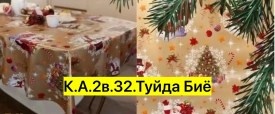 Одежда