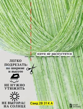 Одежда