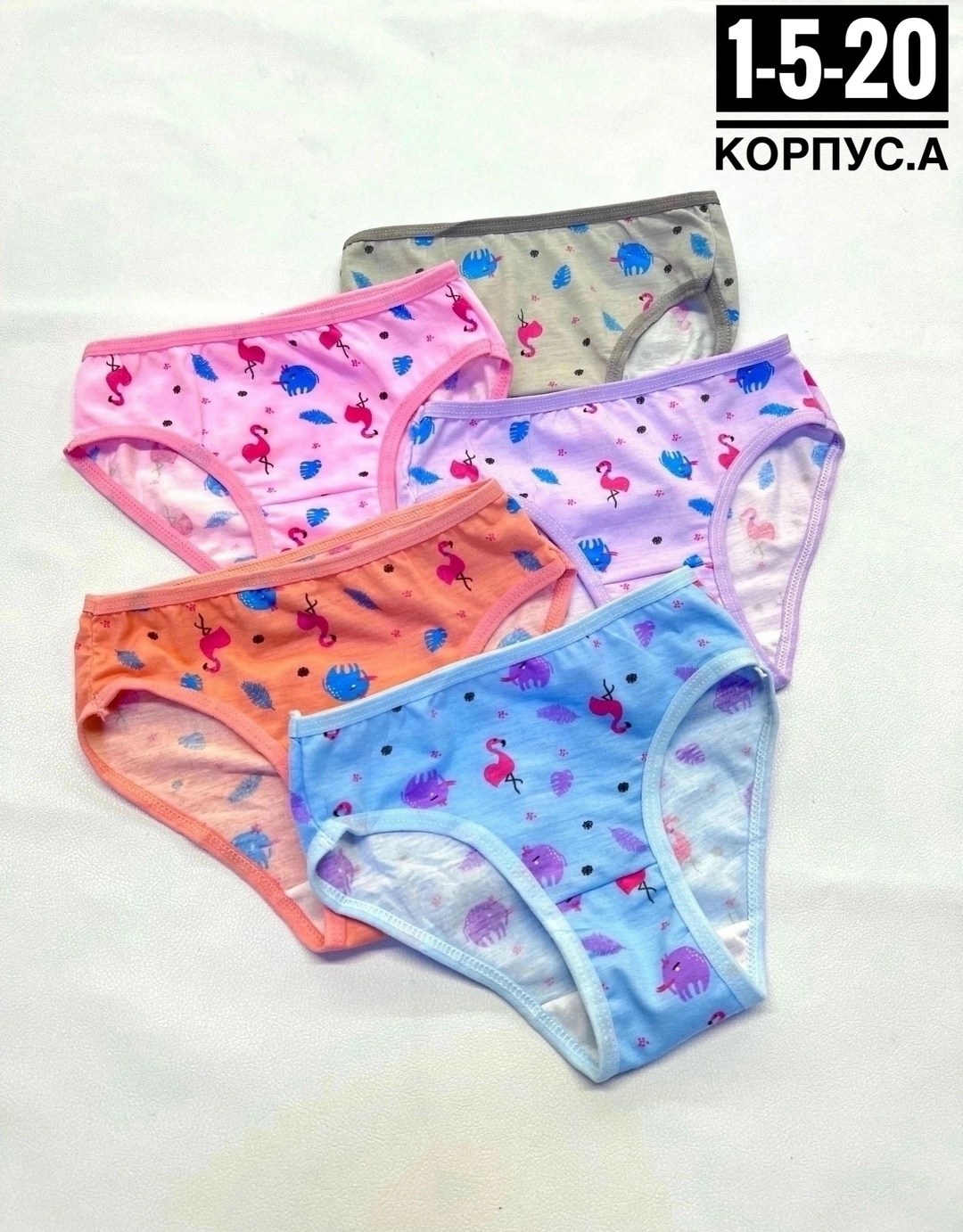 трусы для девочек,детские трусы для девочек,детские трусы,детские трусы упаковка,детские трусики для девочек