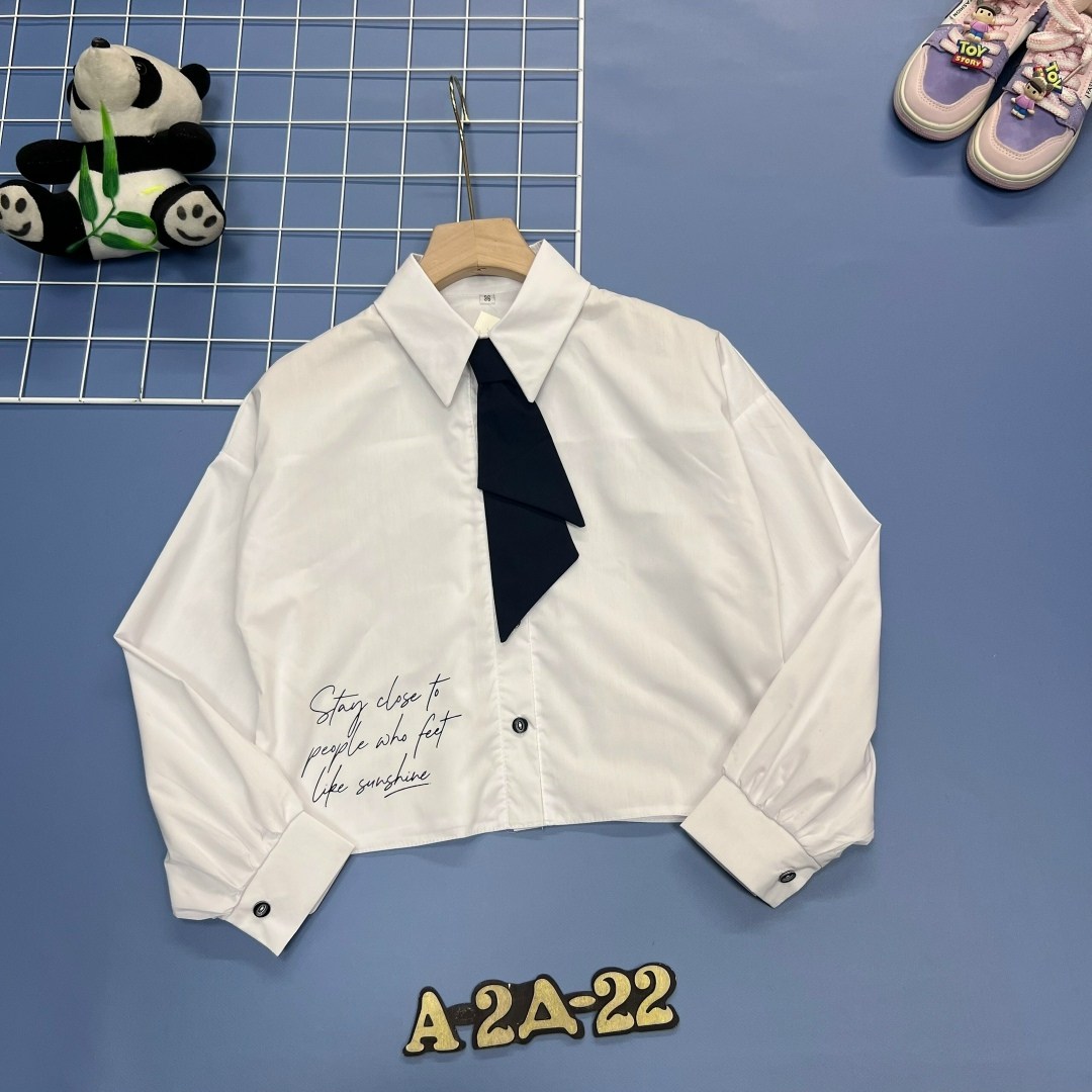 рубашка хлопок,блузка рубашка,школьная рубашка,рубашка,детская рубашка