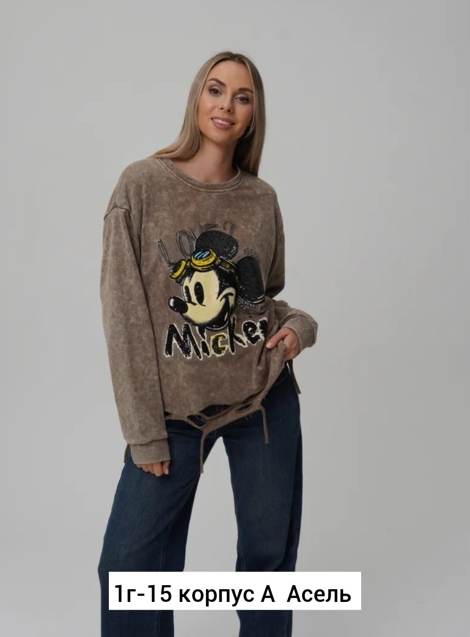 свитшот женская,модные свитшоты,свитшот и толстовка,женская кофта,толстовка в стиле