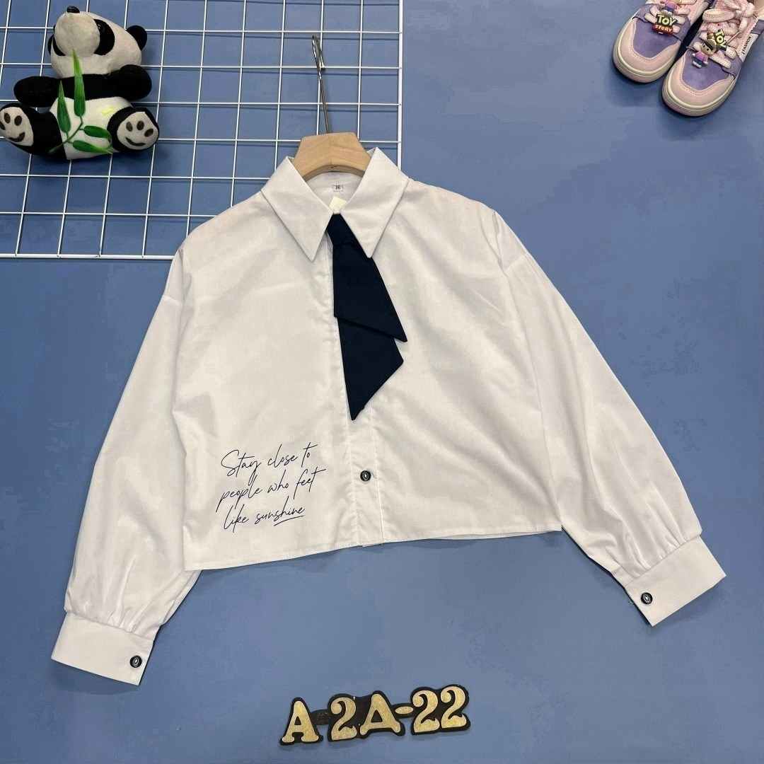 рубашка хлопок,блузка рубашка,школьная рубашка,рубашка,детская рубашка