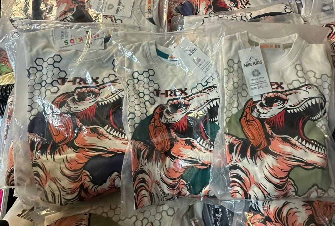 футболка для мальчика с динозавром,футболка с динозаврами,брендовые детские футболки,футболка для мальчиков,динозавр