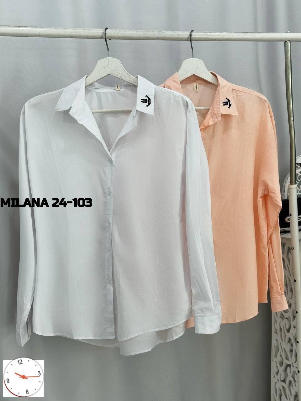 блузка классическая,блузка женская,женская блуза,блуза,костюмы брючные