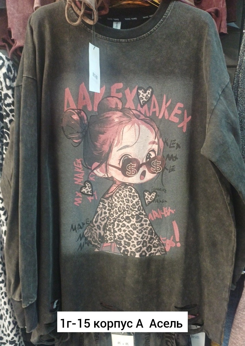 свитшот женская,модные свитшоты,свитшот и толстовка,женская кофта,толстовка в стиле