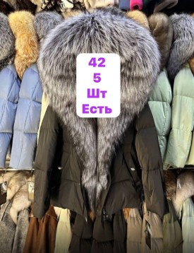 Верхняя одежда