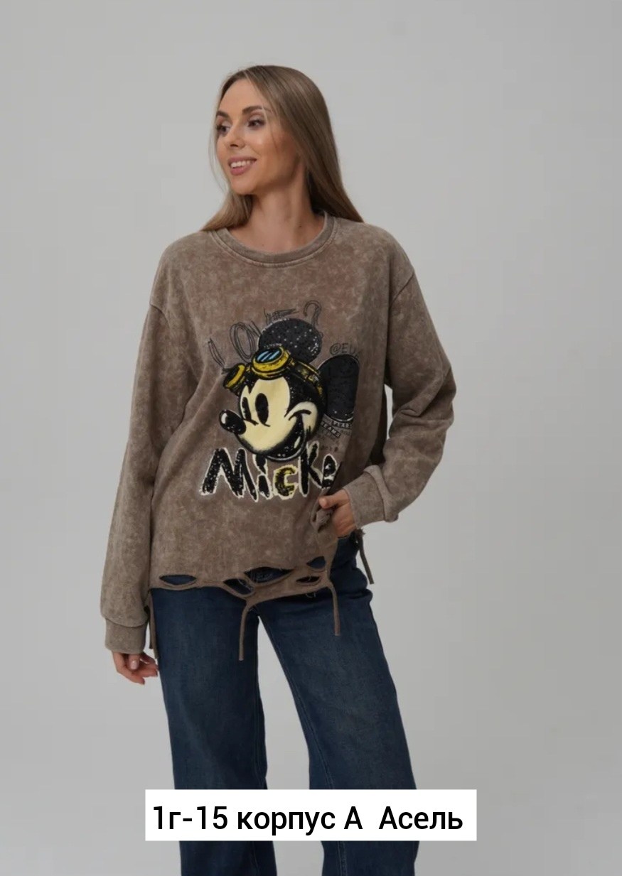 свитшот женская,модные свитшоты,свитшот и толстовка,женская кофта,толстовка в стиле