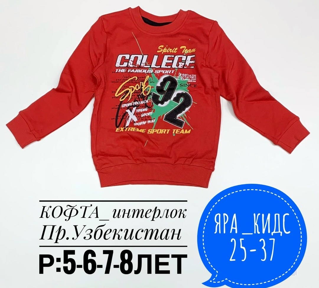 детский джемпер,лонгслив для мальчика,кофта для мальчика,кофта детская,детский свитшот
