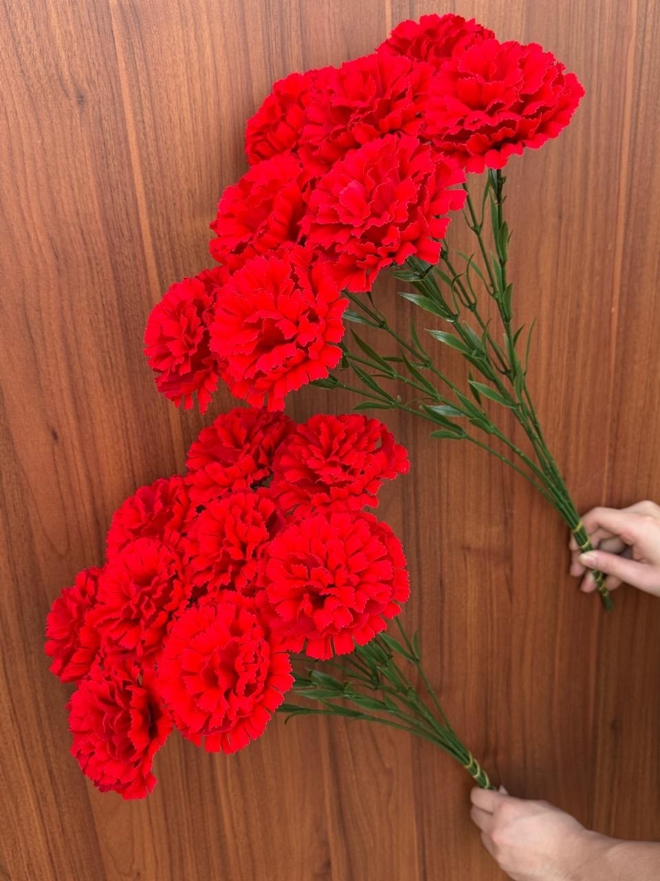 гвоздика красная,букет красных гвоздик,гвоздика букет,букет гвоздик,красные гвоздики букет