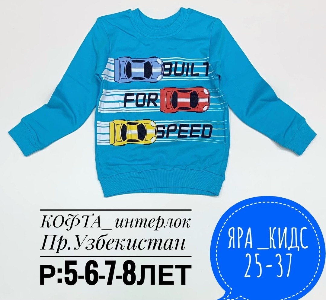 детский джемпер,лонгслив для мальчика,кофта для мальчика,кофта детская,детский свитшот