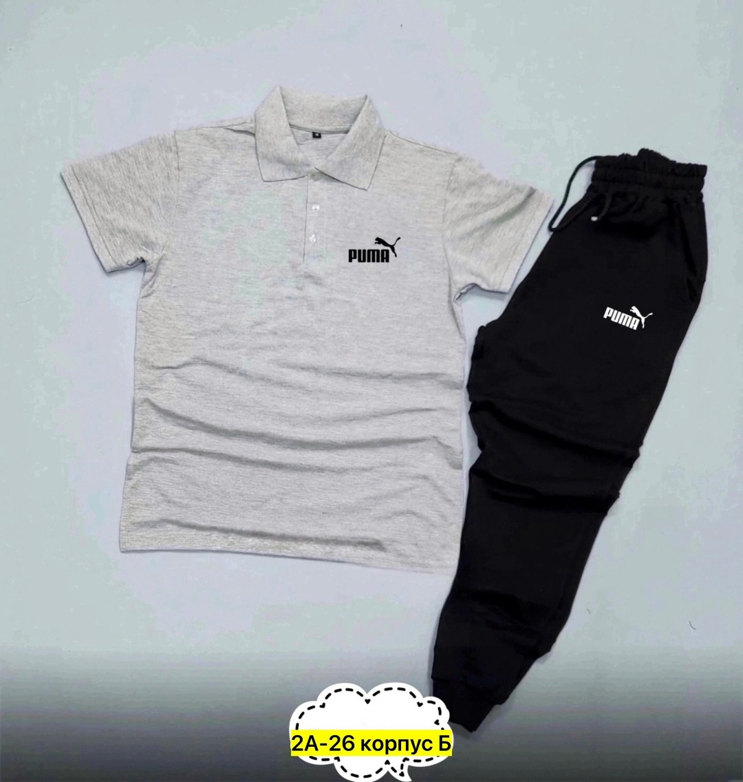 спортивный костюм мужской puma,мужские спортивные костюмы,спортивные костюмы,костюм для мужчин