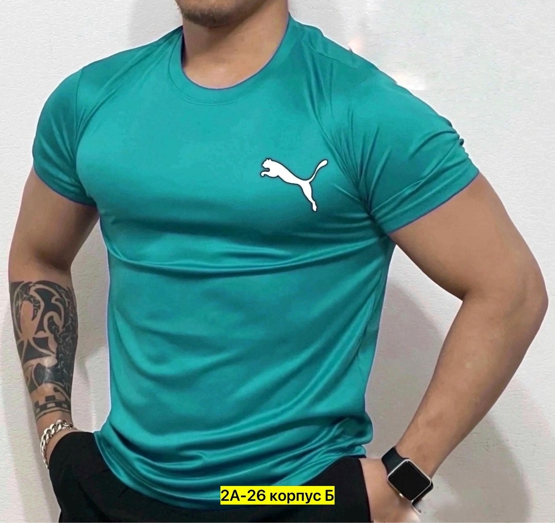 футболка мужская,футболки для мужчин,футболка поло мужская,мужская футболка puma,футболка
