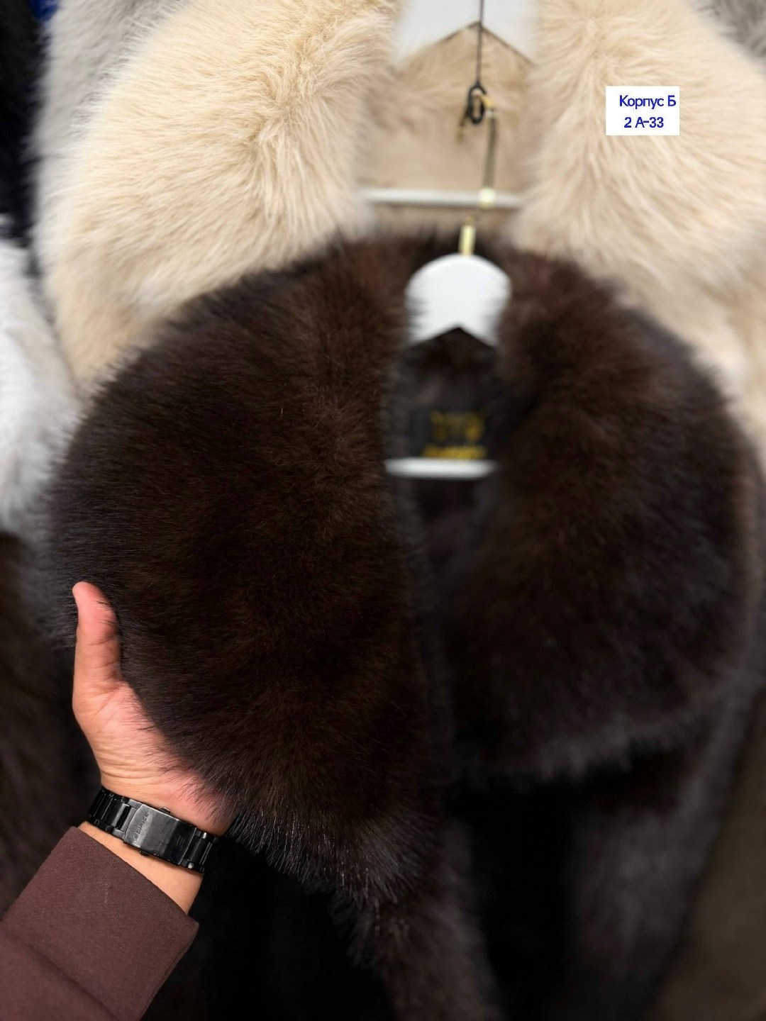 меховой воротник из соболя,меховой воротник,меховой воротник соболь,меховой воротник из песца,воротник из соболя