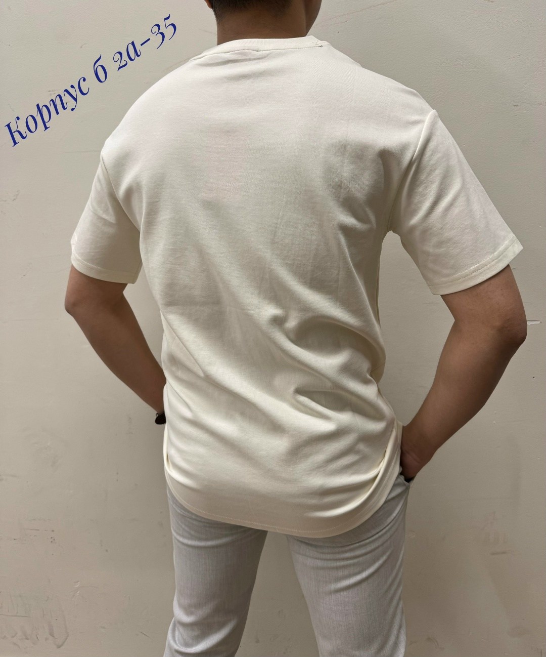 мужская футболка,мужская футболка белая,футболка,футболка короткий рукав,футболки для мужчин