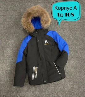 Верхняя одежда