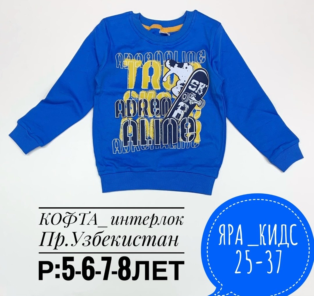 детский джемпер,лонгслив для мальчика,кофта для мальчика,кофта детская,детский свитшот