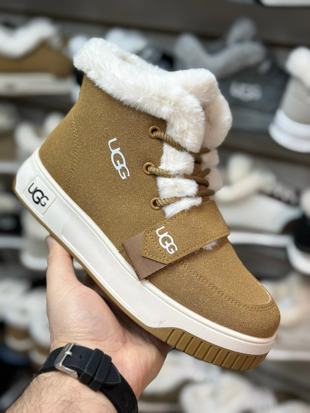 ,зимние кроссовки ugg,женские угги,кроссовки зимние угги ugg lowmel,угги ugg женские