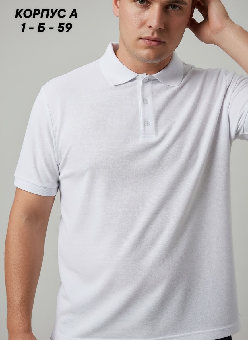 поло футболка мужская,мужская футболка белая,футболка мужская,футболка поло мужская белая,мужская футболка-поло с коротким рукавом