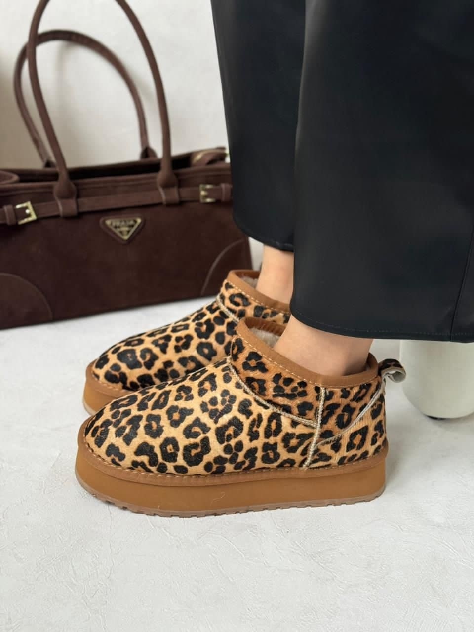 угги женские,леопардовые угги женские короткие shoe world 264220472,леопардовые угги,угги,