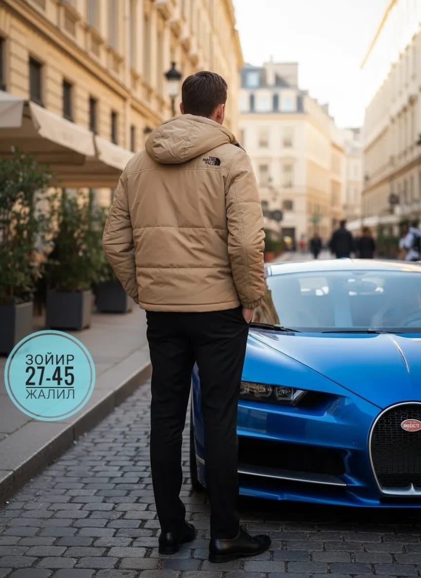 куртка the north face,куртка двухсторонняя the north face,мужские пуховики the north face,пуховик the north face,the north face мужская куртка