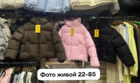 Верхняя одежда