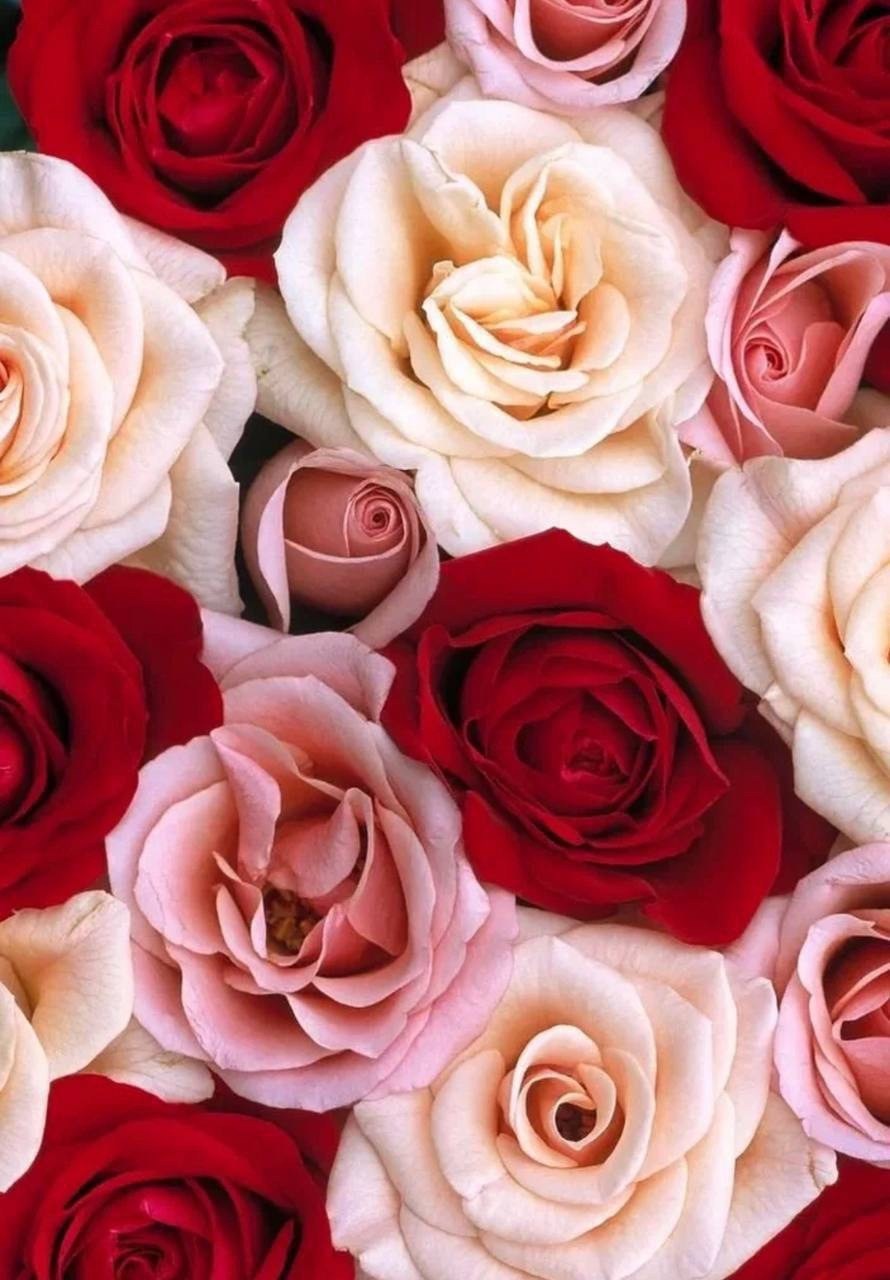 домашний велюровый комплект,комплект женских,комплект пижама,велюровый комплект,комплект одежда для дома