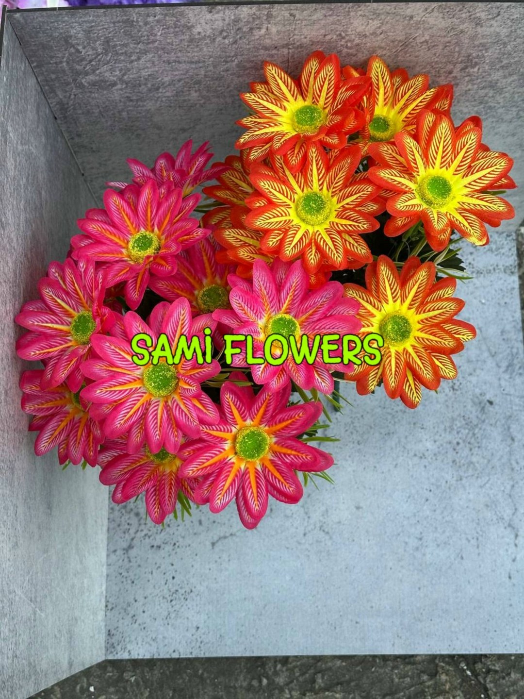 хризантема красная ромашка,chrysanthemum indicum,хризантемы цветок,хризантемы оранжевые,хризантем