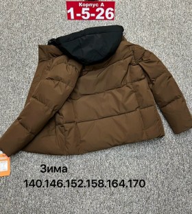 Верхняя одежда