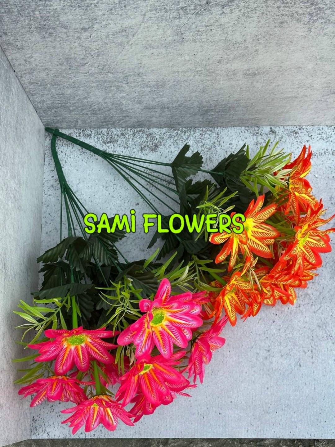 хризантема красная ромашка,chrysanthemum indicum,хризантемы цветок,хризантемы оранжевые,хризантем