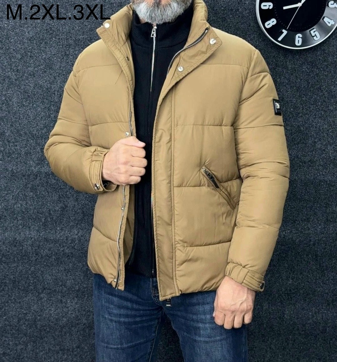 мужская зимняя куртка louis vuitton,мужская зимняя куртка,брендовая мужская зимняя куртка,повседневная куртка,куртка