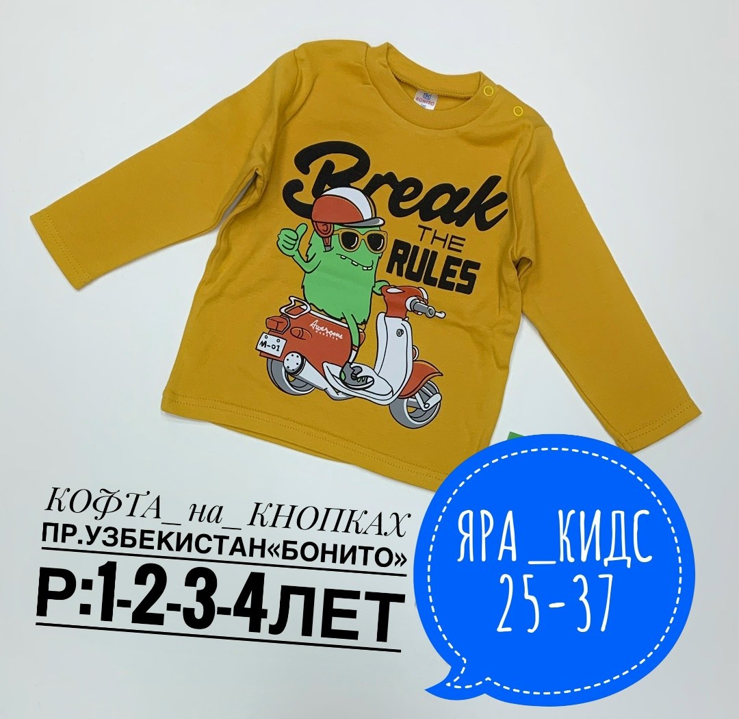 лонгслив детские,лонгслив для мальчика,кофта для мальчика,джемпер детский,лонгслив детский для мальчика