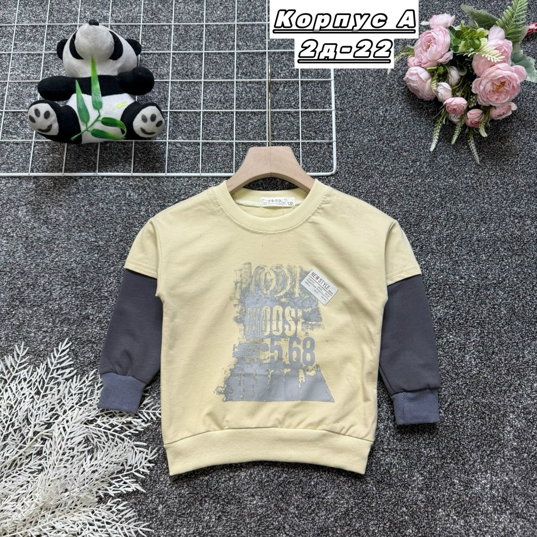свитшот для мальчика,детский свитшот,кофта для мальчика,детская кофта,толстовка кофта