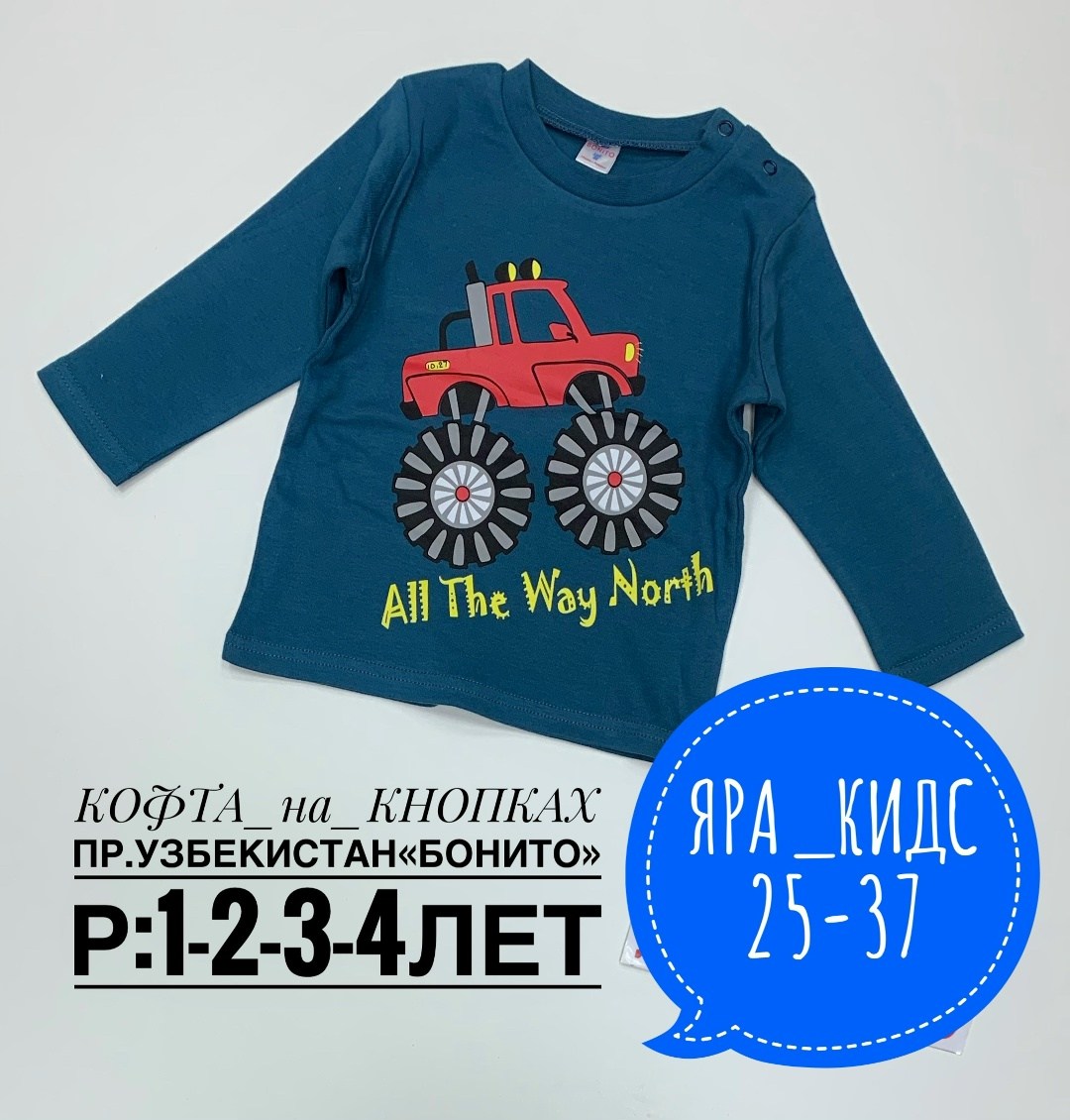 лонгслив детские,лонгслив для мальчика,кофта для мальчика,джемпер детский,лонгслив детский для мальчика