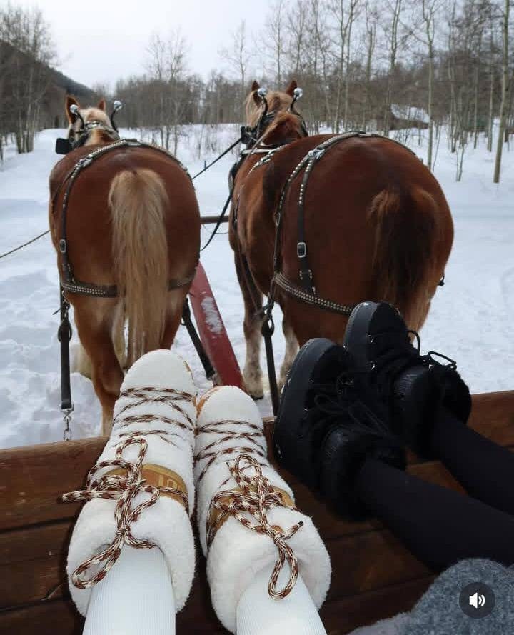 лошади зима,сани запряженные лошадью,лошадь с санями,лошади,упряжи для лошадей