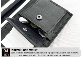 Одежда