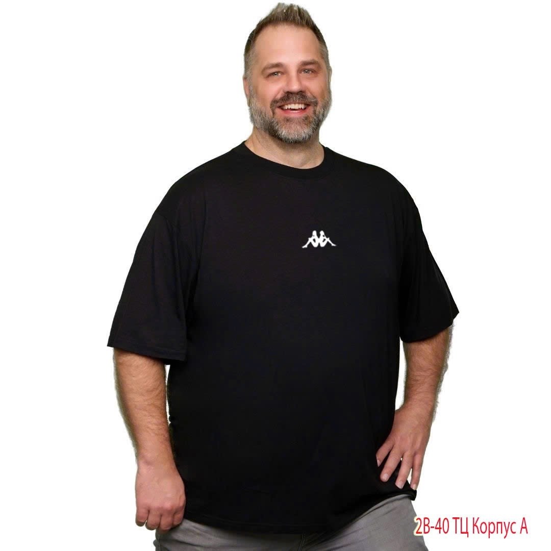 футболка the north face мужская,мужская футболка the north face цвет black,the north face футболка мужская черная,футболка the north face