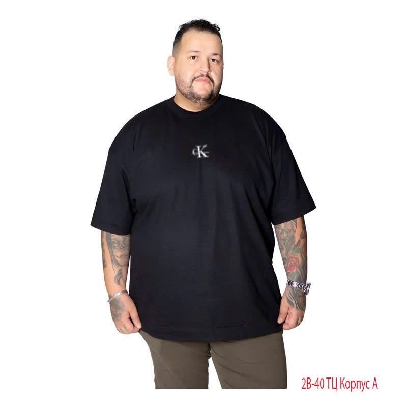 футболка the north face мужская,мужская футболка the north face цвет black,the north face футболка мужская черная,футболка the north face