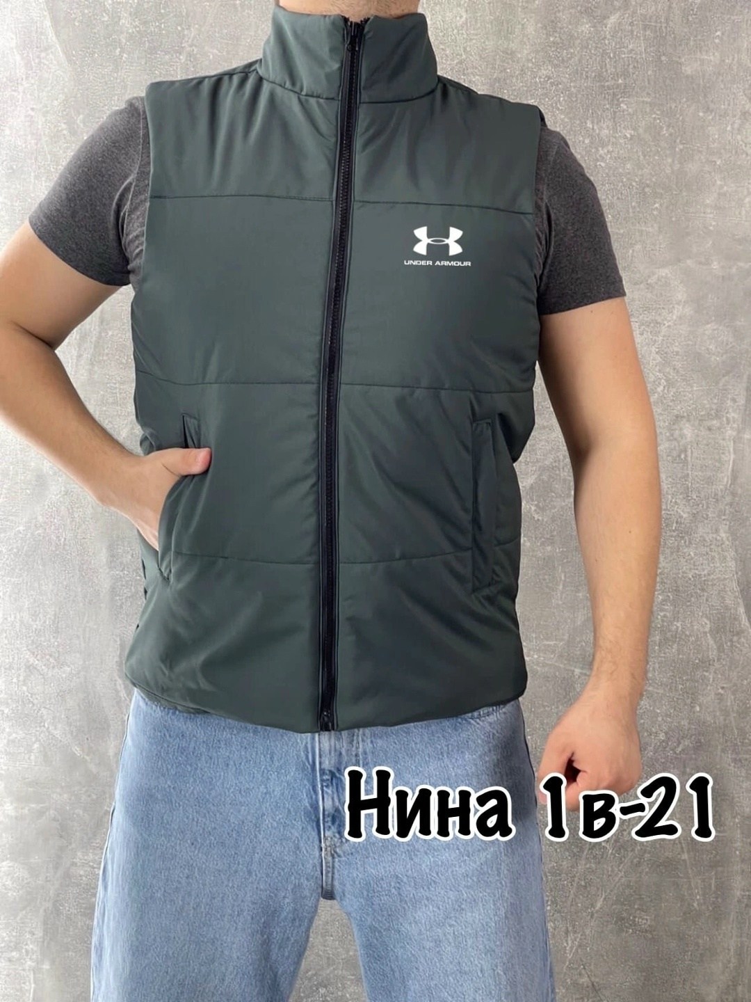 жилет утепленный the north face,жилет the north face,жилет,жилетка the north face,жилетка tnf