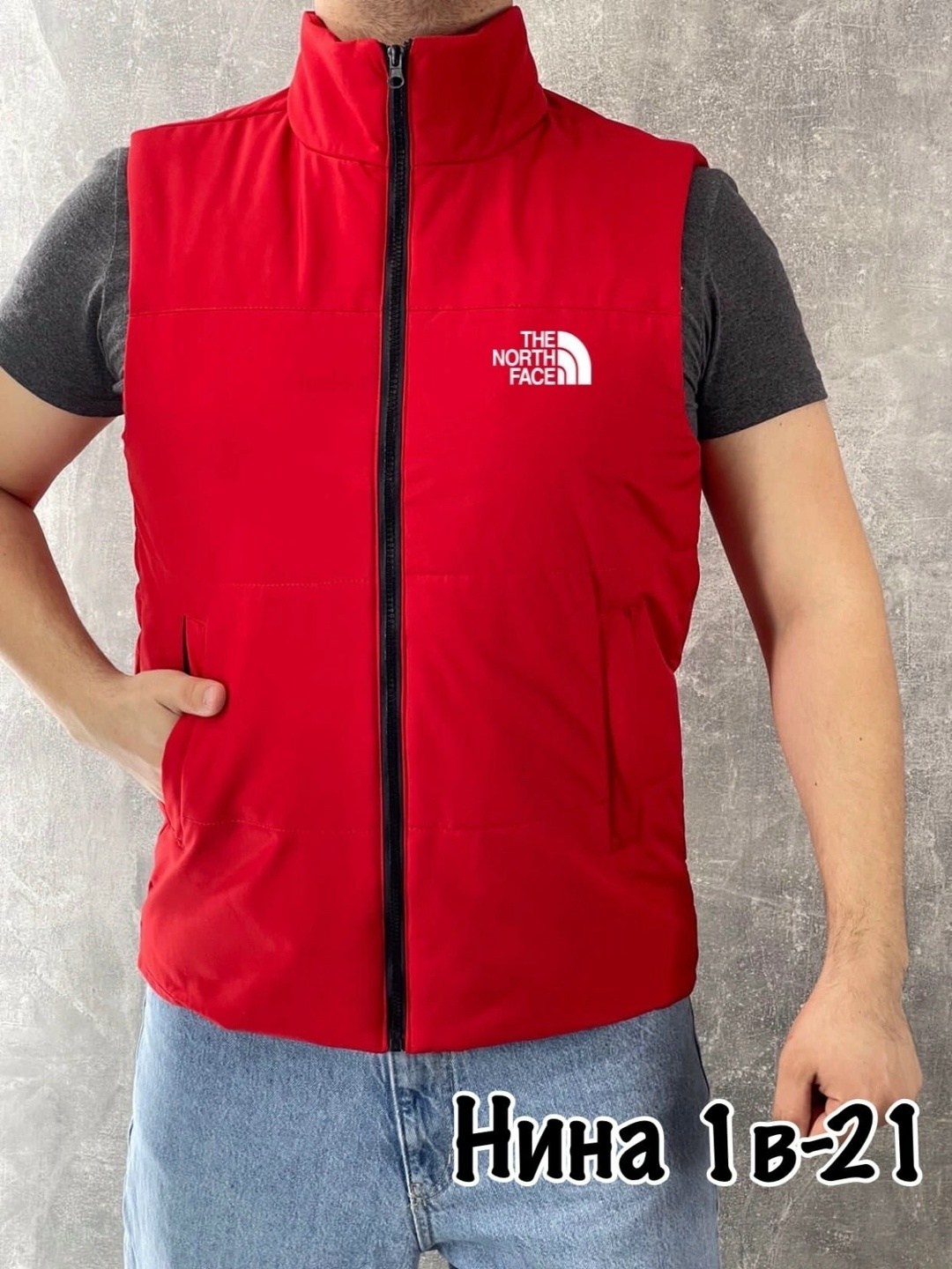 жилет утепленный the north face,жилет the north face,жилет,жилетка the north face,жилетка tnf