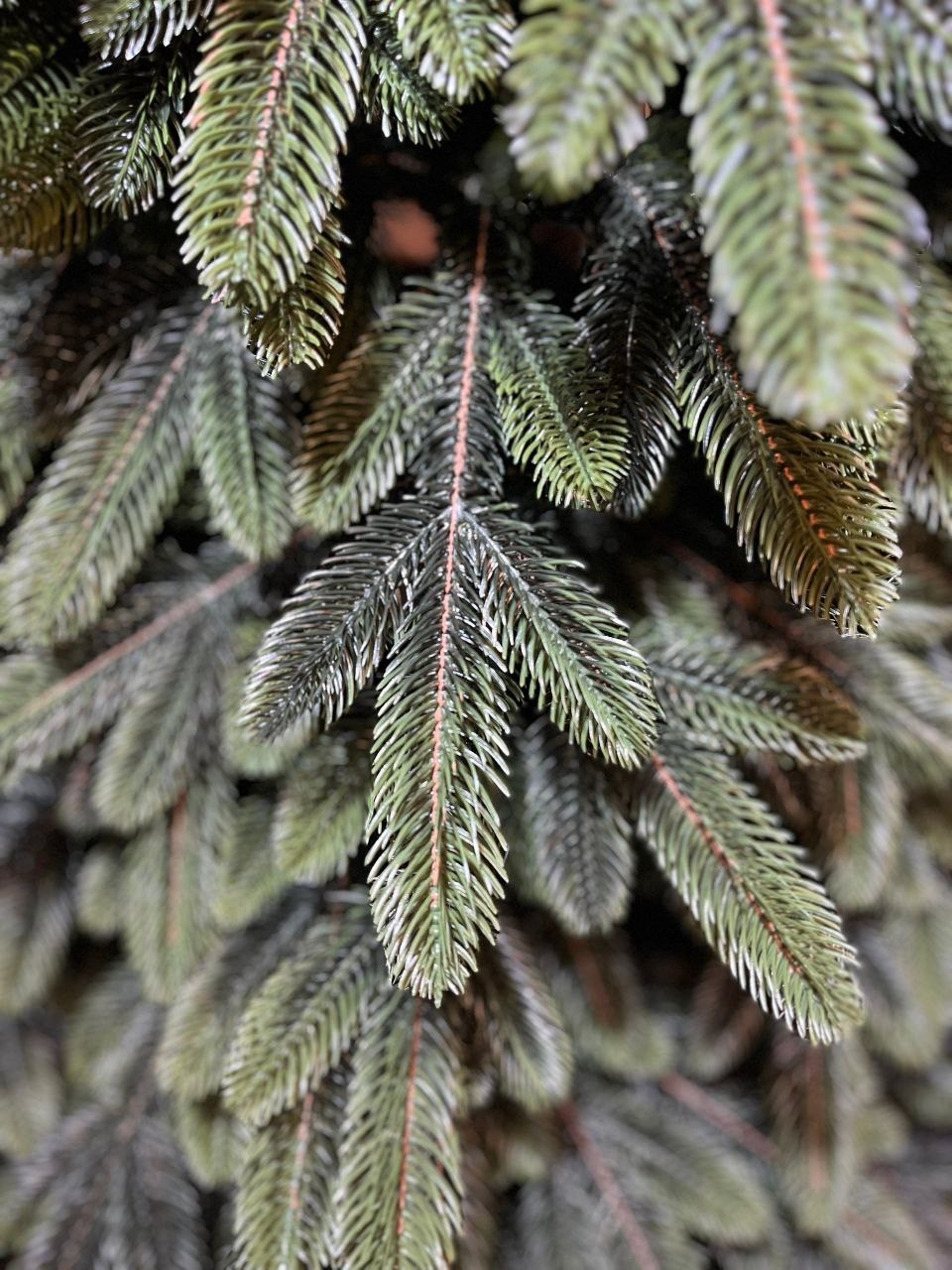 искусственная ель,искусственная елка,искусственная елка литая,ель литая,елка литая