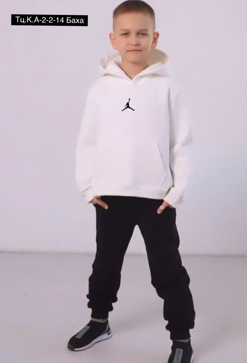спортивные костюмы,костюмы двойки,спортивный костюм jordan,мужской спортивный костюм
