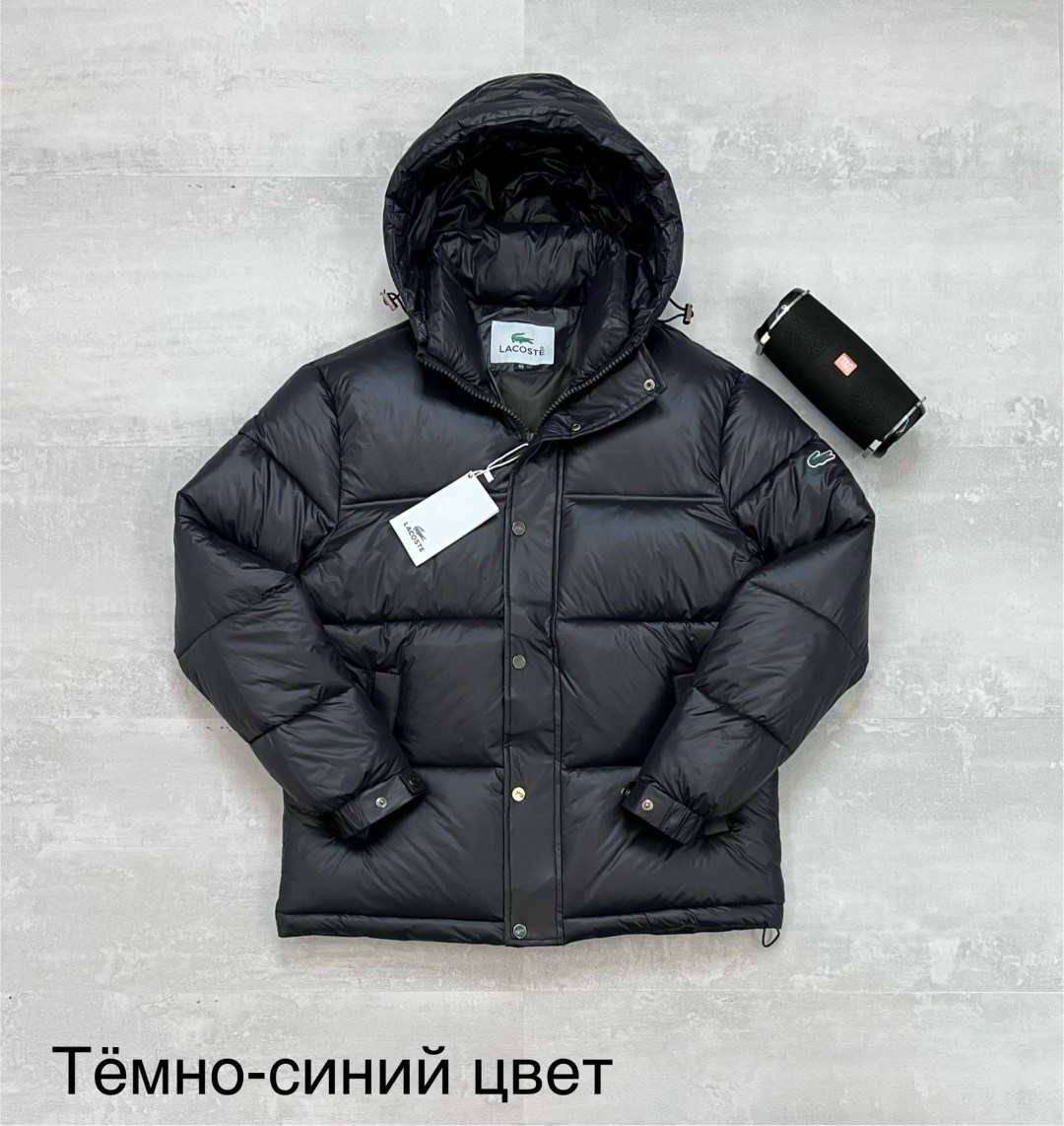 пуховик burberry,пуховик moncler,мужской пуховик moncler,пуховик zegna,мужская зимняя куртка "moncler"