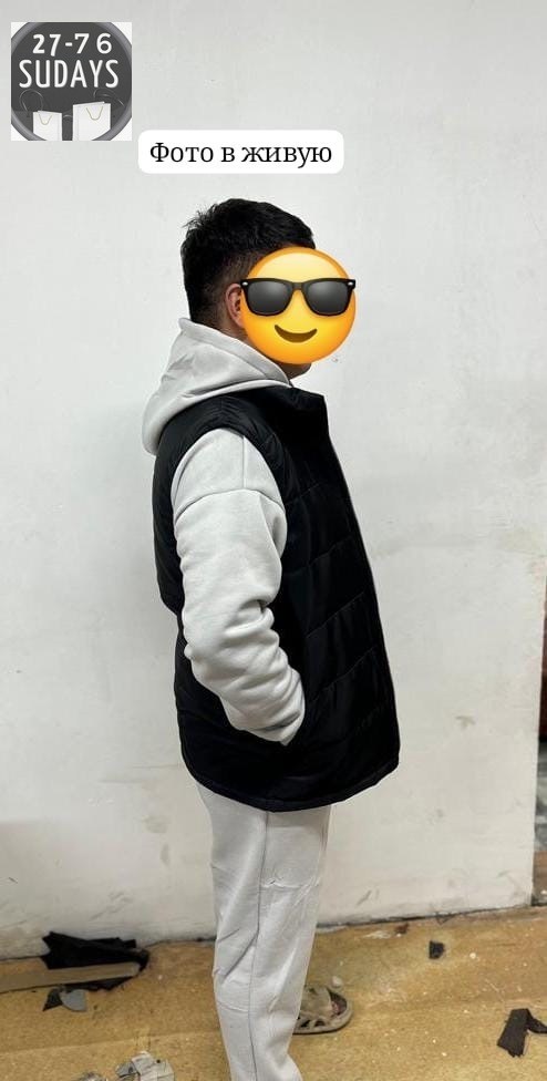 жилетка мужская,мужской жилет,жилет утепленный,мужской утепленный жилет,мужской жилет с капюшоном